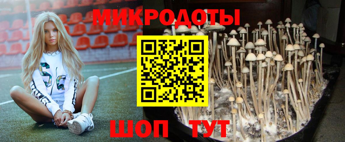 Галлюциногенные грибы Magic Shrooms  Вход с VPN  Воронеж  Псилоцибиновые грибы прущие грибы 