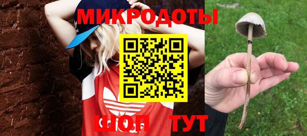 ГАШ Воронеж